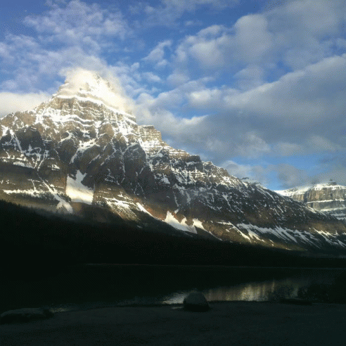 Angel 7 : No More Tyranny